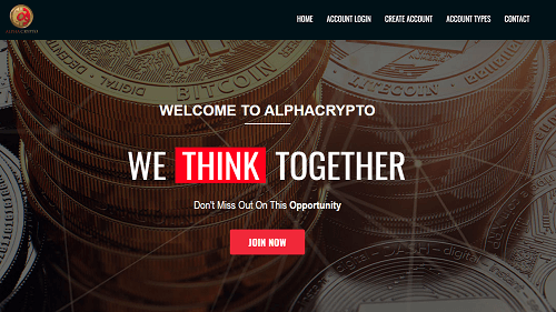 alpha crypto meaning